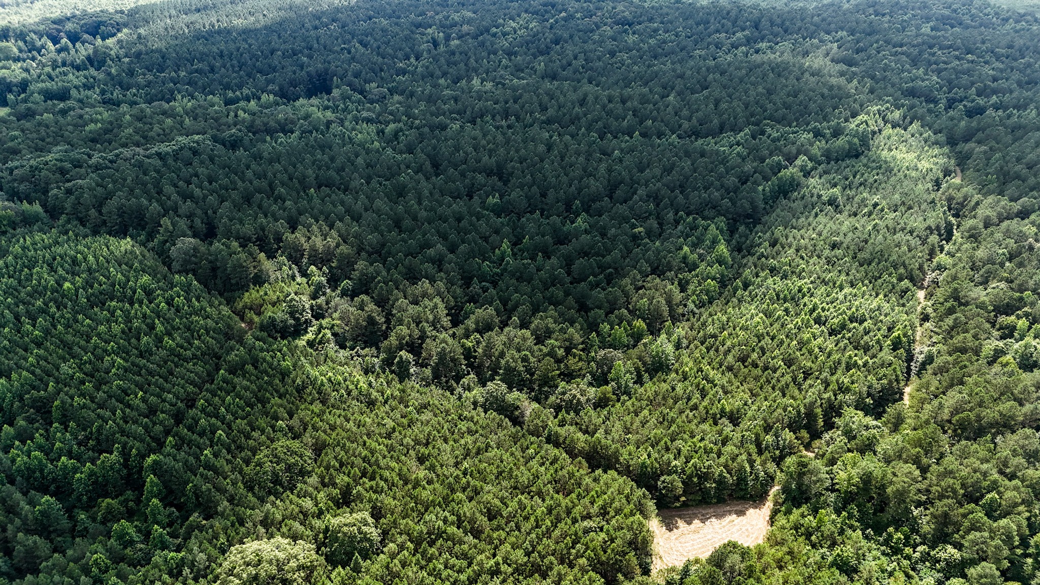 0 Guys Chewalla Road Ramer, TN 38367 - Photo 10 of 26