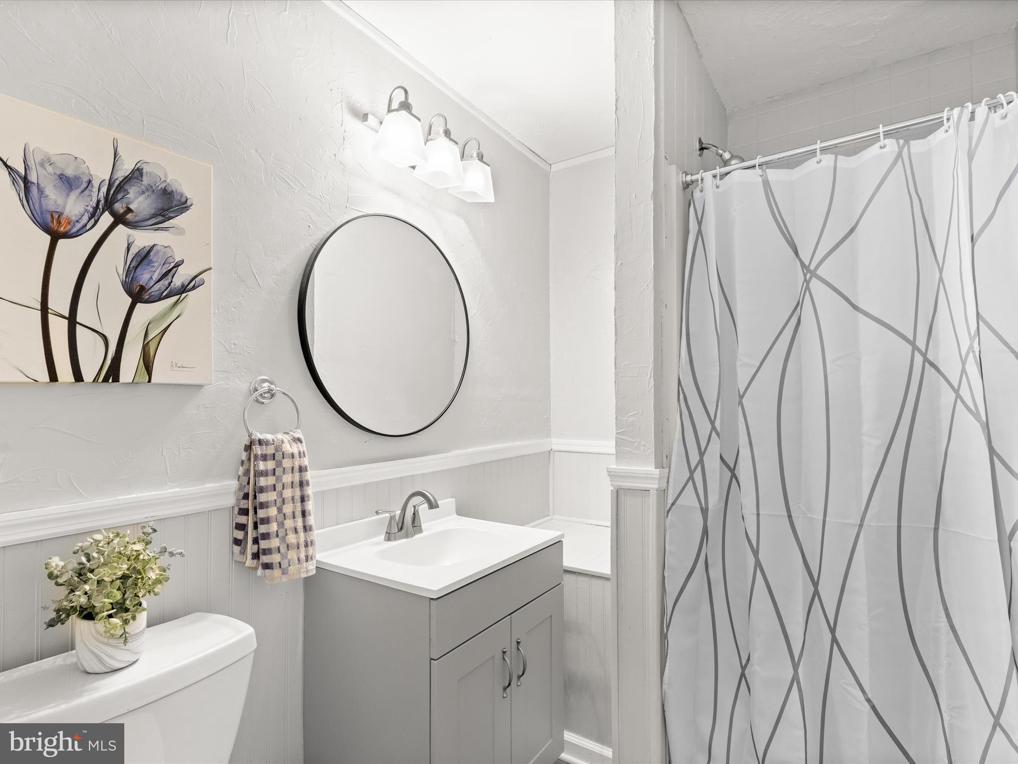 26905 Mt Vernon Road Princess Anne, MD 21853 - Photo 46 of 74 a bathroom with a sink and a mirror