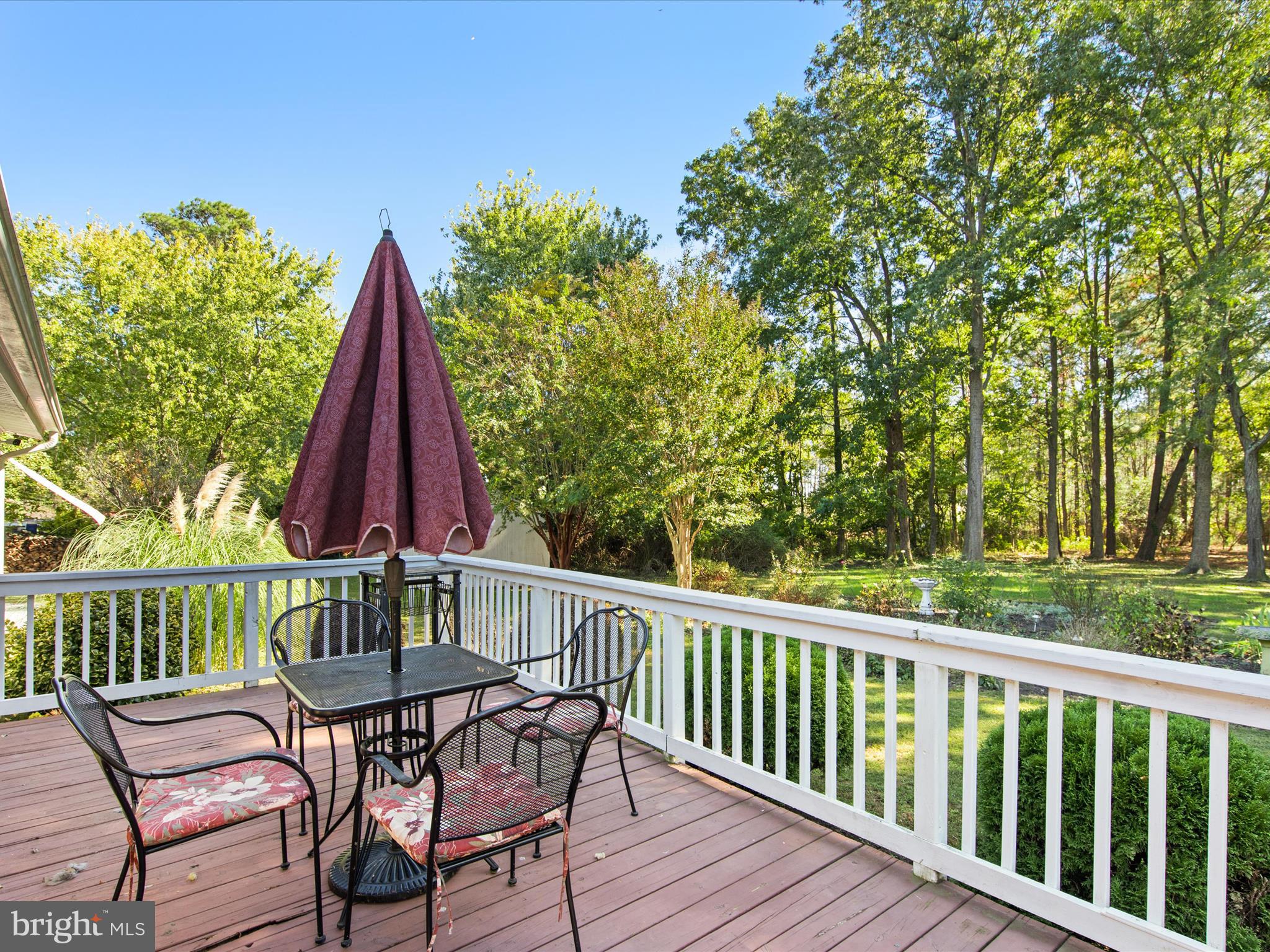 26905 Mt Vernon Road Princess Anne, MD 21853 - Photo 49 of 74 Rear Deck