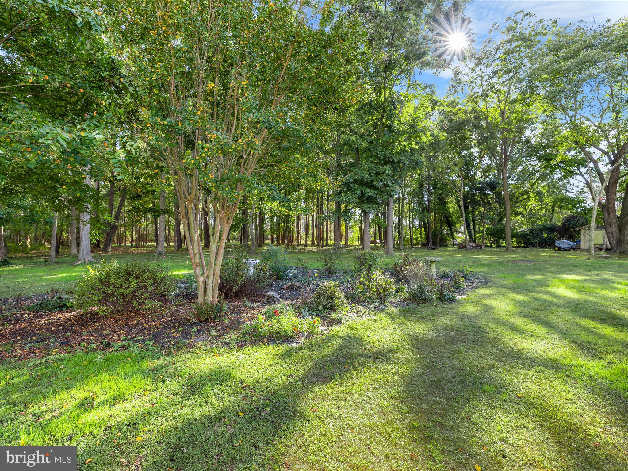 26905 Mt Vernon Road Princess Anne, MD 21853 - Photo 52 of 74 a view of outdoor space with trees all around
