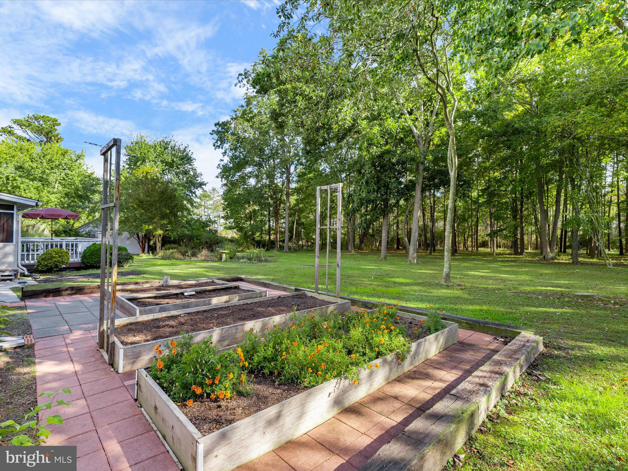26905 Mt Vernon Road Princess Anne, MD 21853 - Photo 53 of 74 a view of a park with large trees