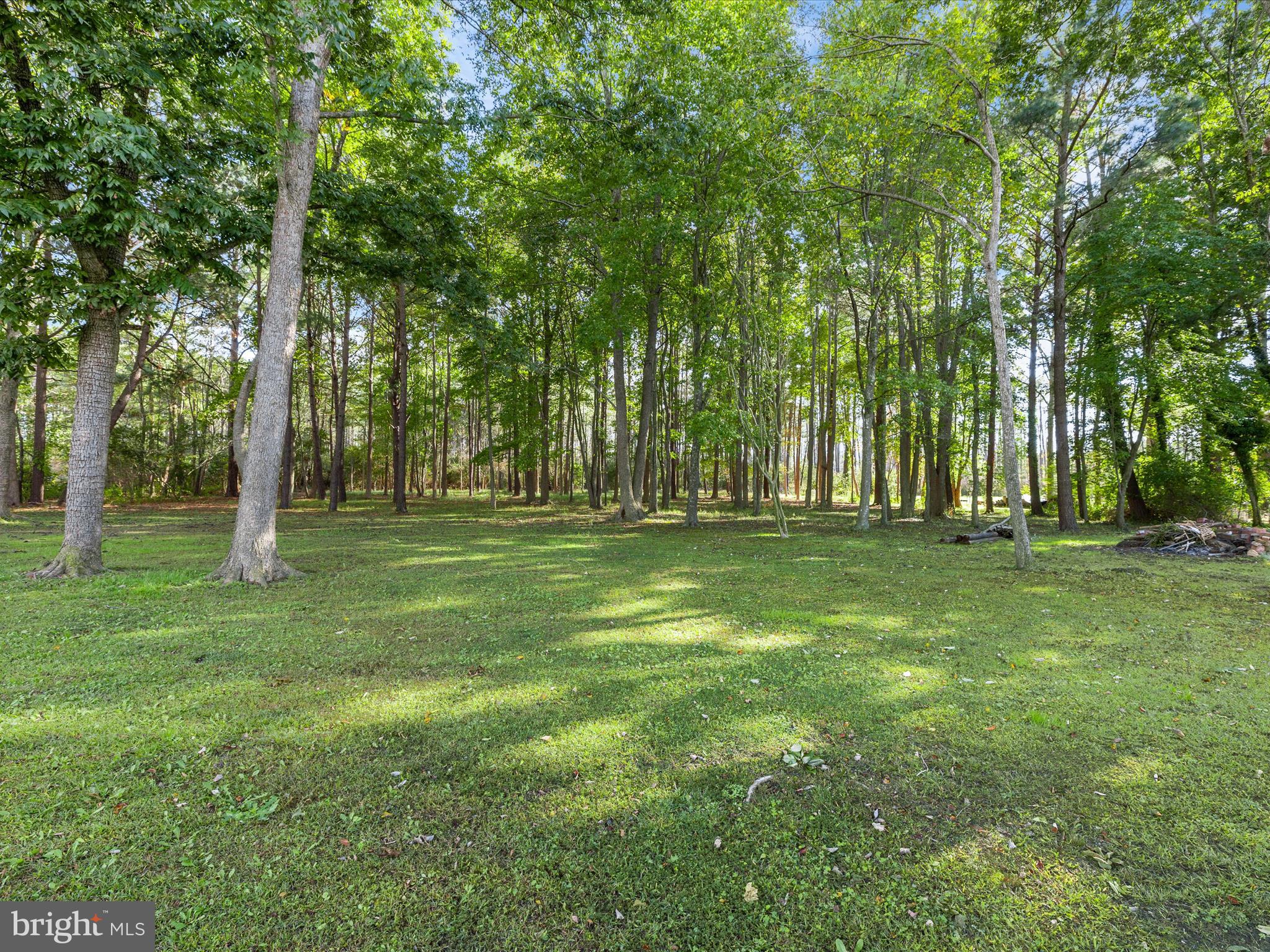 26905 Mt Vernon Road Princess Anne, MD 21853 - Photo 54 of 74 a backyard of a house with lots of green space and trees all around