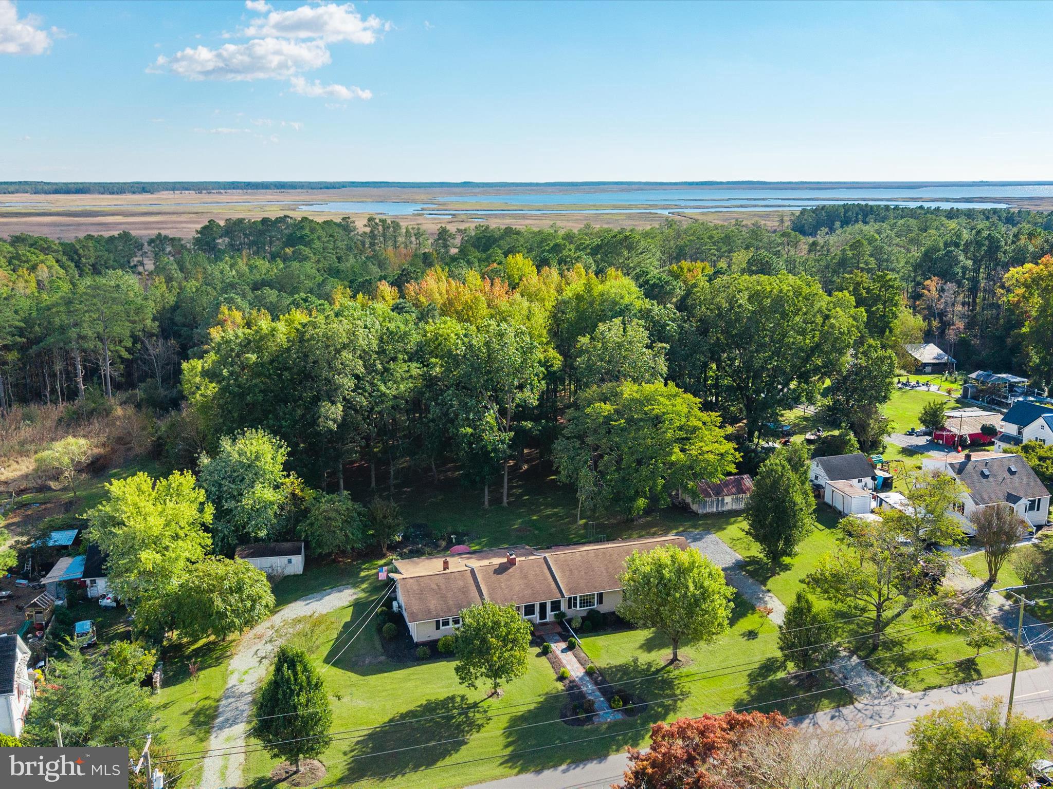 26905 Mt Vernon Road Princess Anne, MD 21853 - Photo 55 of 74 5 Acres Lot
