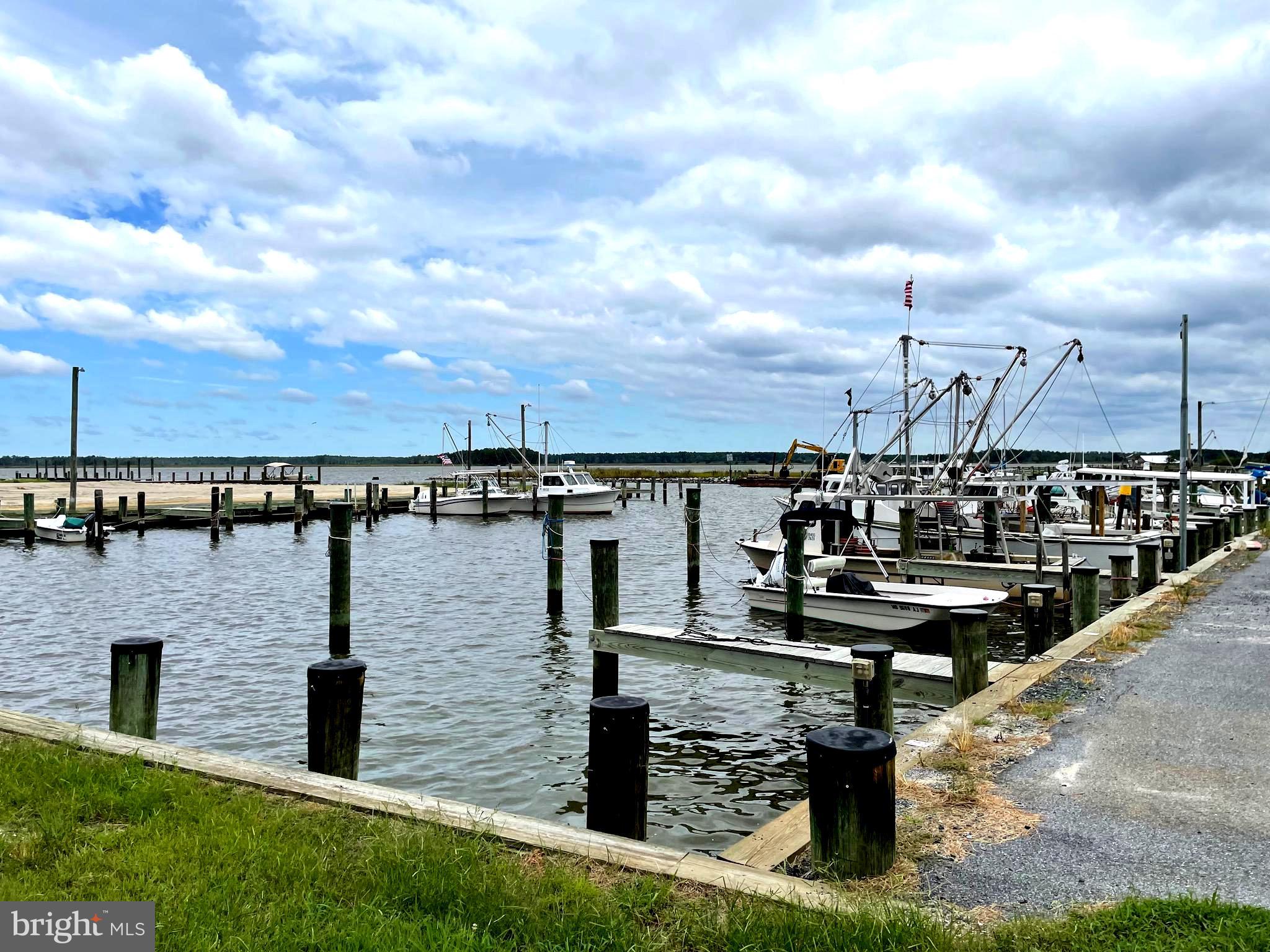 26905 Mt Vernon Road Princess Anne, MD 21853 - Photo 67 of 74 Mt Vernon Harbor