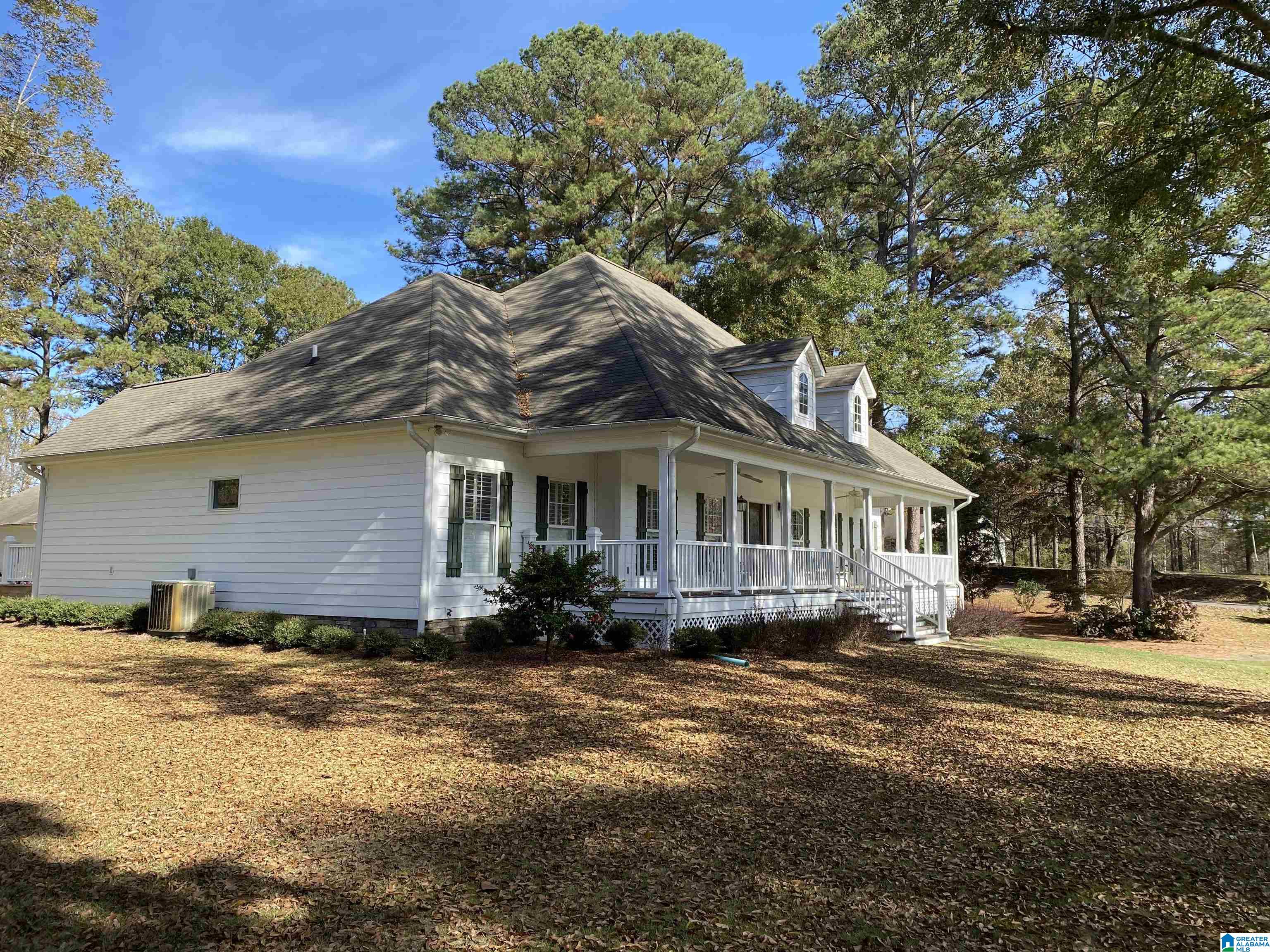6406 Water Works Road Mount Olive, AL 35117 - Photo 4 of 63