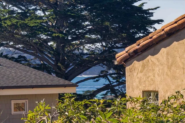 a backyard of a house with lots of green space