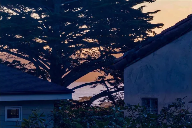 a backyard of a house