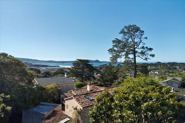 an aerial view of residential building and lake