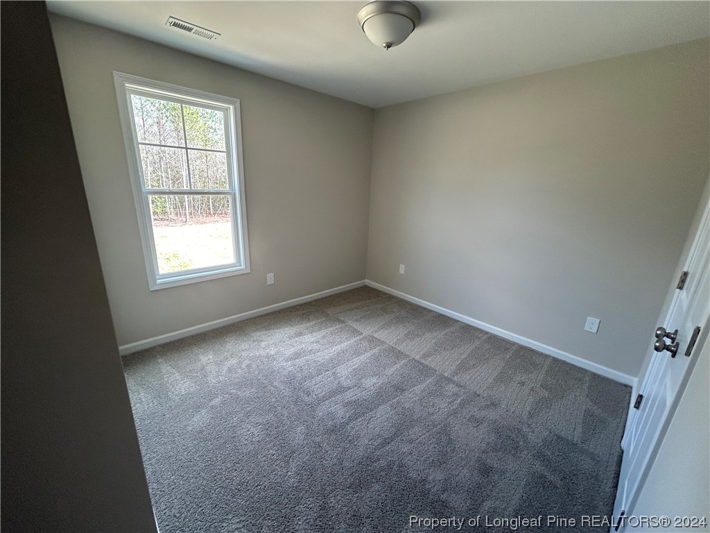 8221 Beaver Dam Autryville, NC 28318 - Photo 11 of 17 Gallery Image 11
