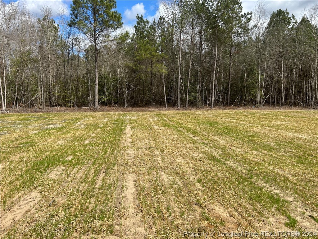 8221 Beaver Dam Autryville, NC 28318 - Photo 15 of 17 Gallery Image 15
