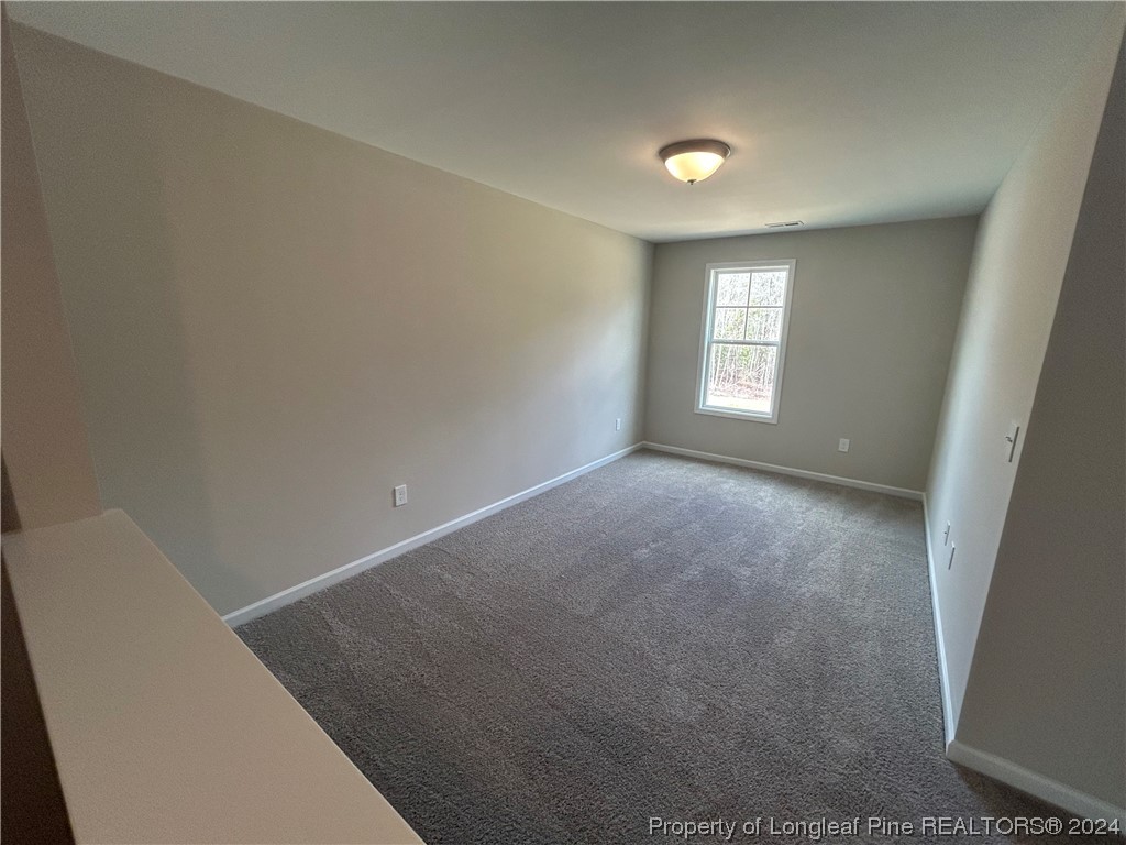 8221 Beaver Dam Autryville, NC 28318 - Photo 9 of 17 Gallery Image 9