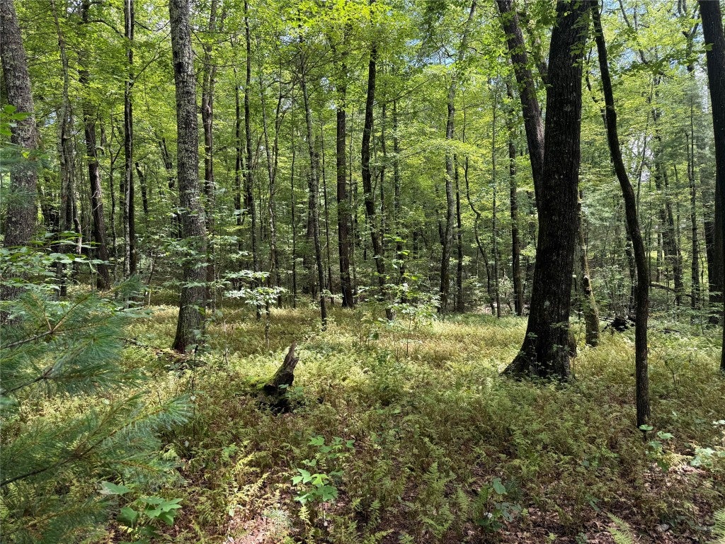 Lot112 Uplands Road Cashiers, NC 28717 - Photo 2 of 4 Gallery Image 2