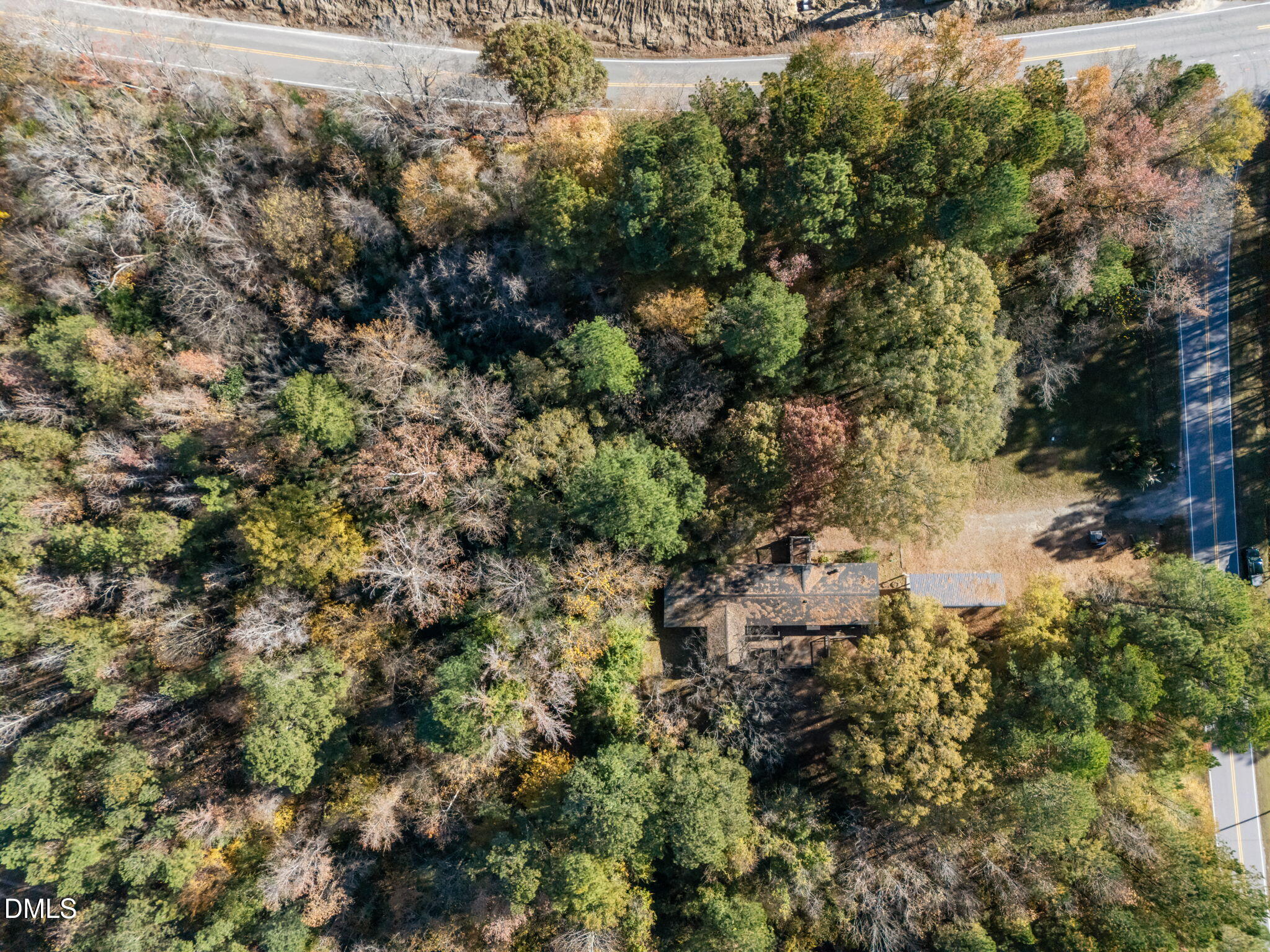 4029 Strickland Farm Road Raleigh, NC 27604 - Photo 16 of 40 a view of a forest with a tree