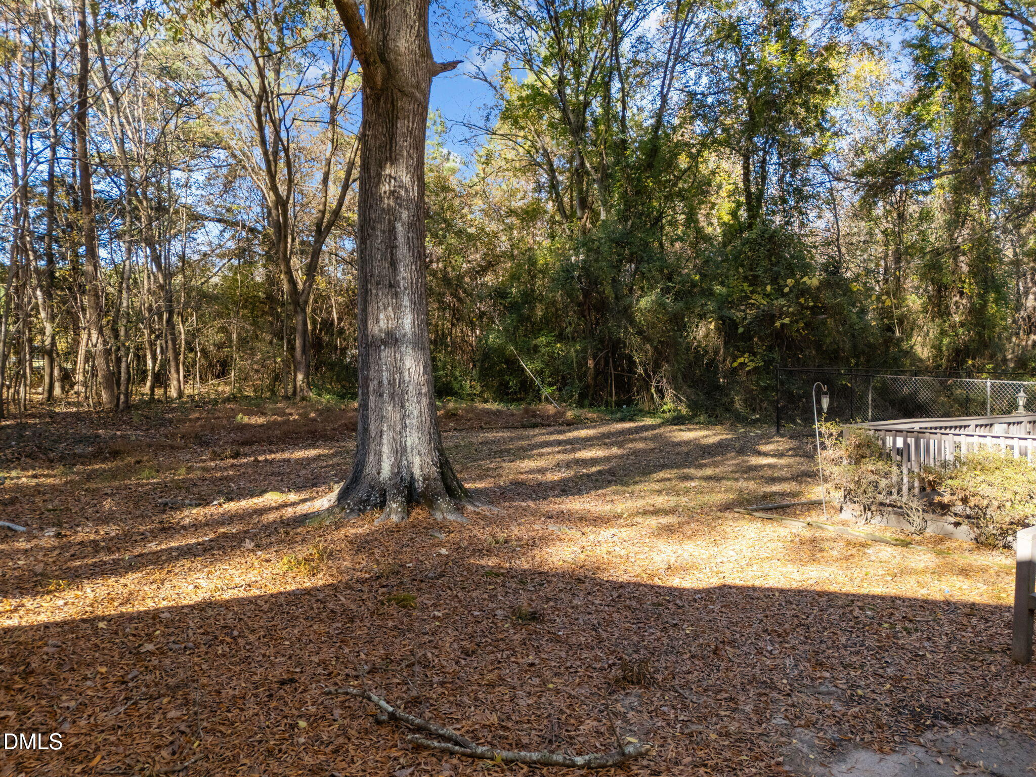 4029 Strickland Farm Road Raleigh, NC 27604 - Photo 7 of 40 a view of outdoor space with trees