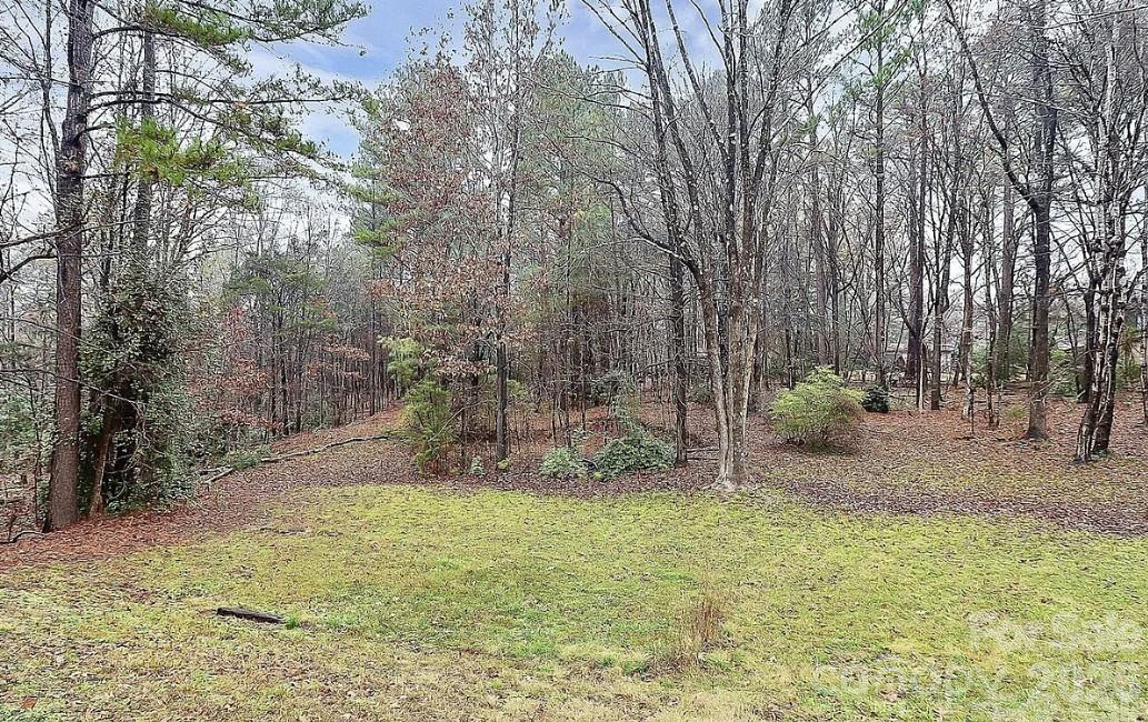 714 Plantation Road Gaston, SC 29053 - Photo 3 of 3