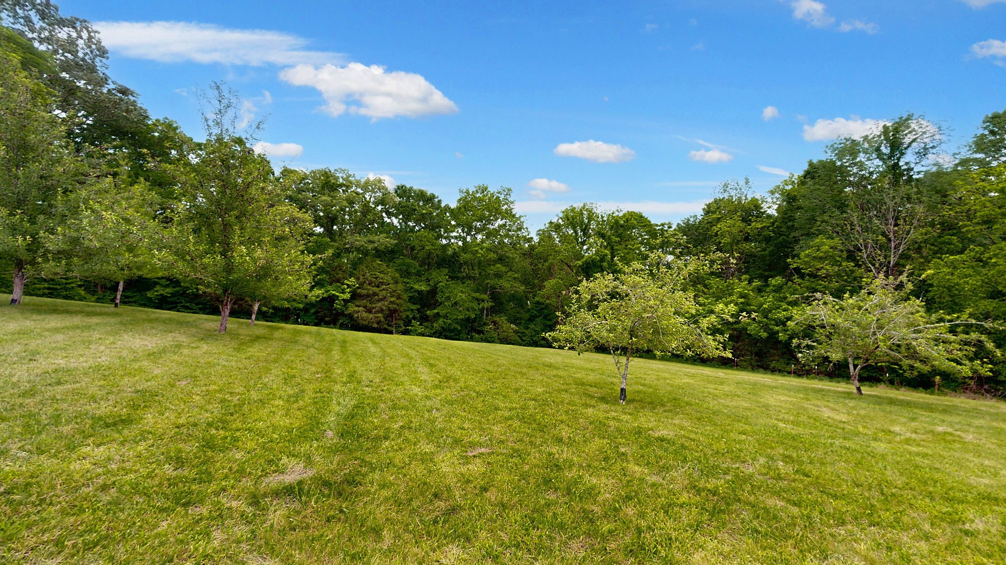 251 Old State Rte 48 Centerville, TN 37033 - Photo 31 of 57 Gallery Image 31