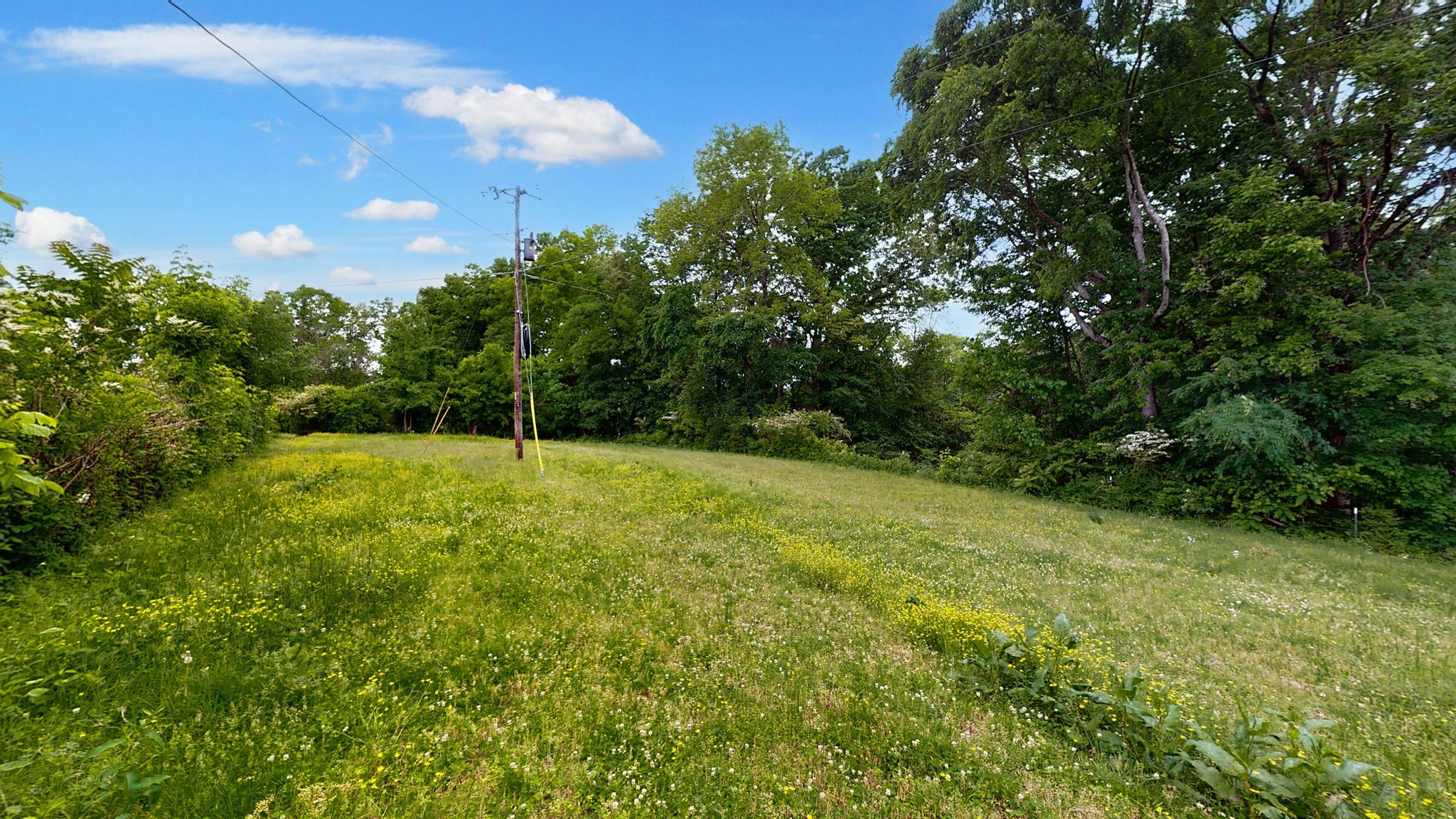 251 Old State Rte 48 Centerville, TN 37033 - Photo 35 of 57 Gallery Image 35