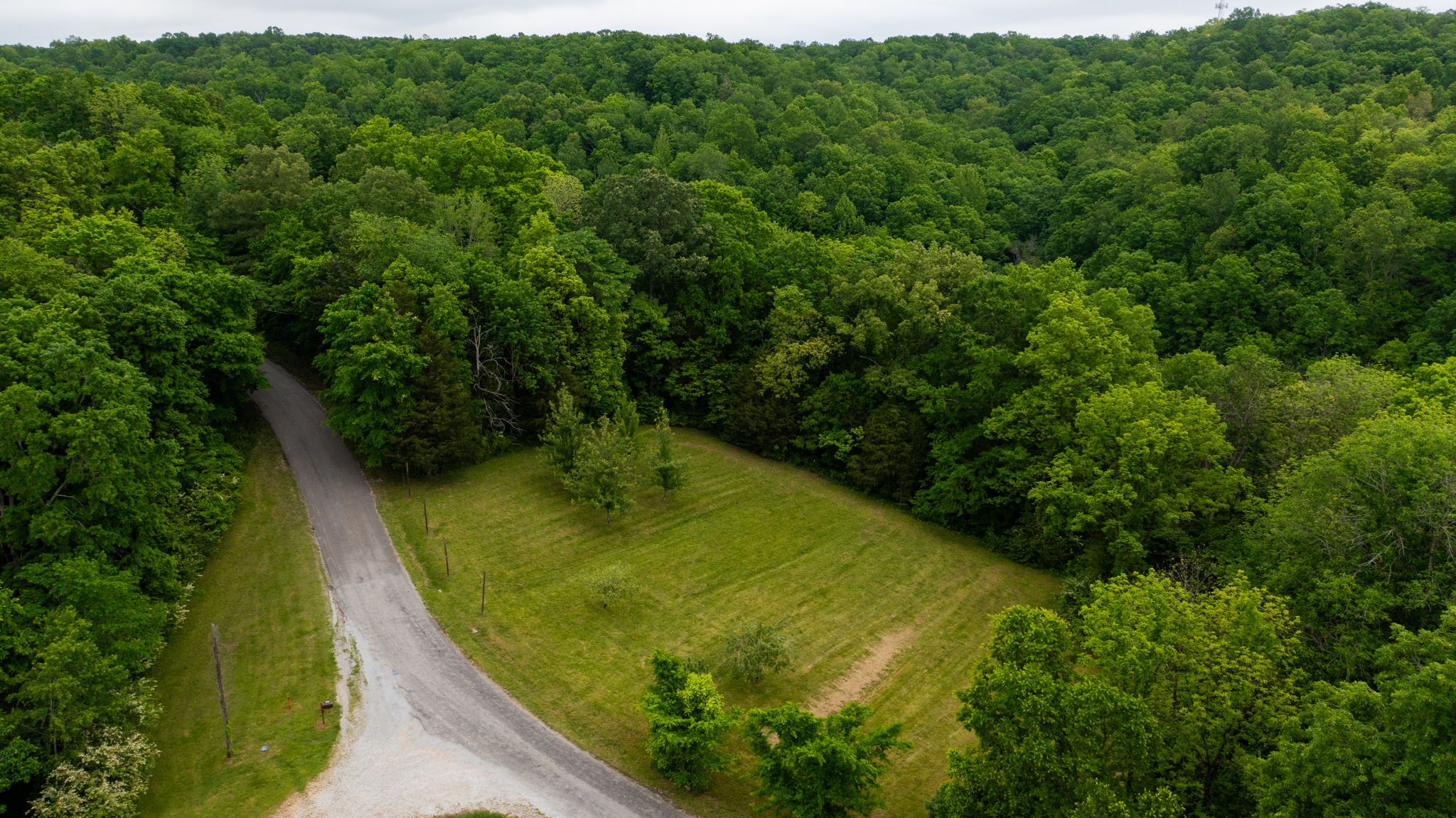 251 Old State Rte 48 Centerville, TN 37033 - Photo 42 of 57 Gallery Image 42