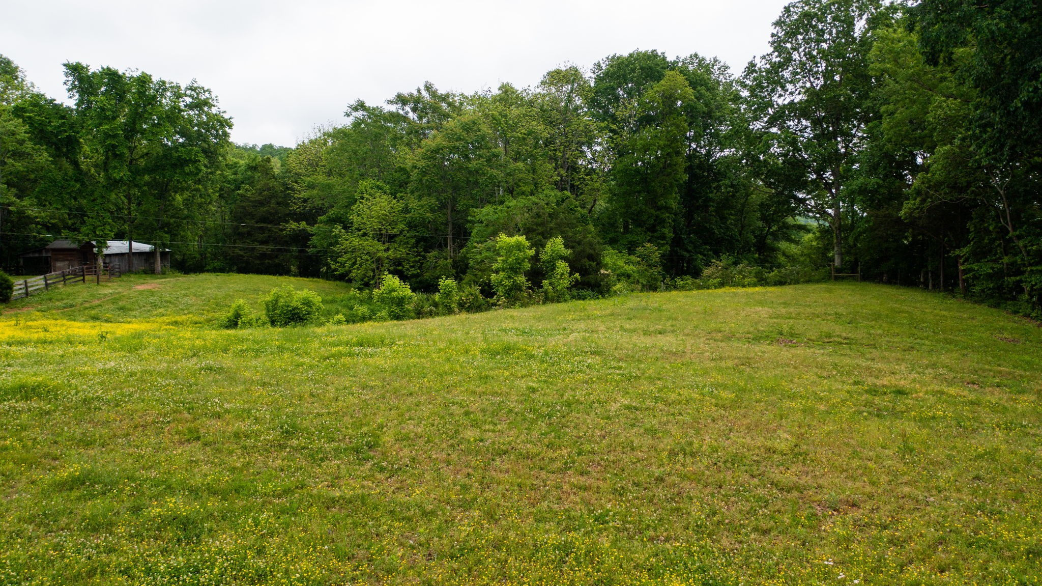 251 Old State Rte 48 Centerville, TN 37033 - Photo 44 of 57 Gallery Image 44