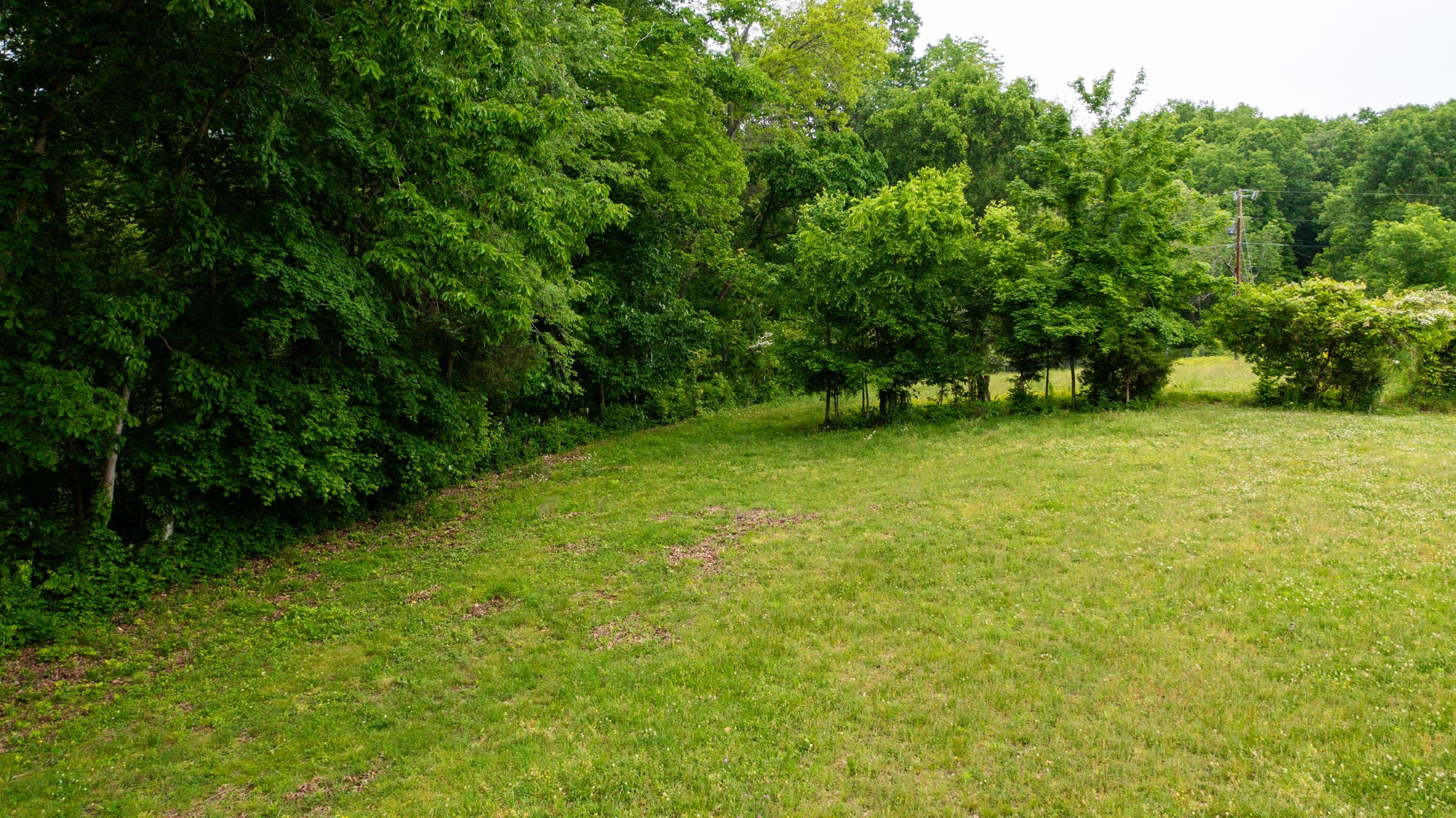 251 Old State Rte 48 Centerville, TN 37033 - Photo 45 of 57 Gallery Image 45