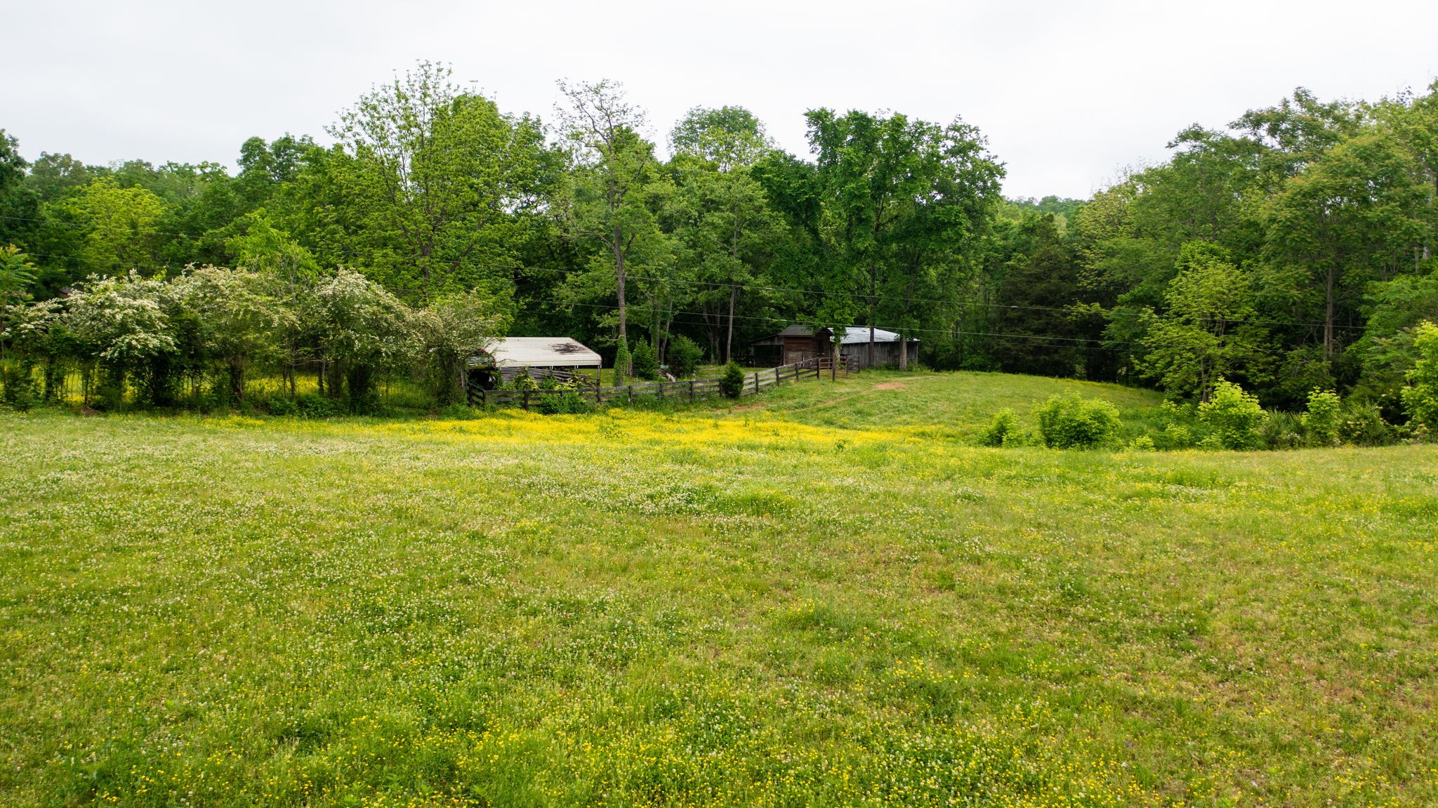 251 Old State Rte 48 Centerville, TN 37033 - Photo 46 of 57 Gallery Image 46