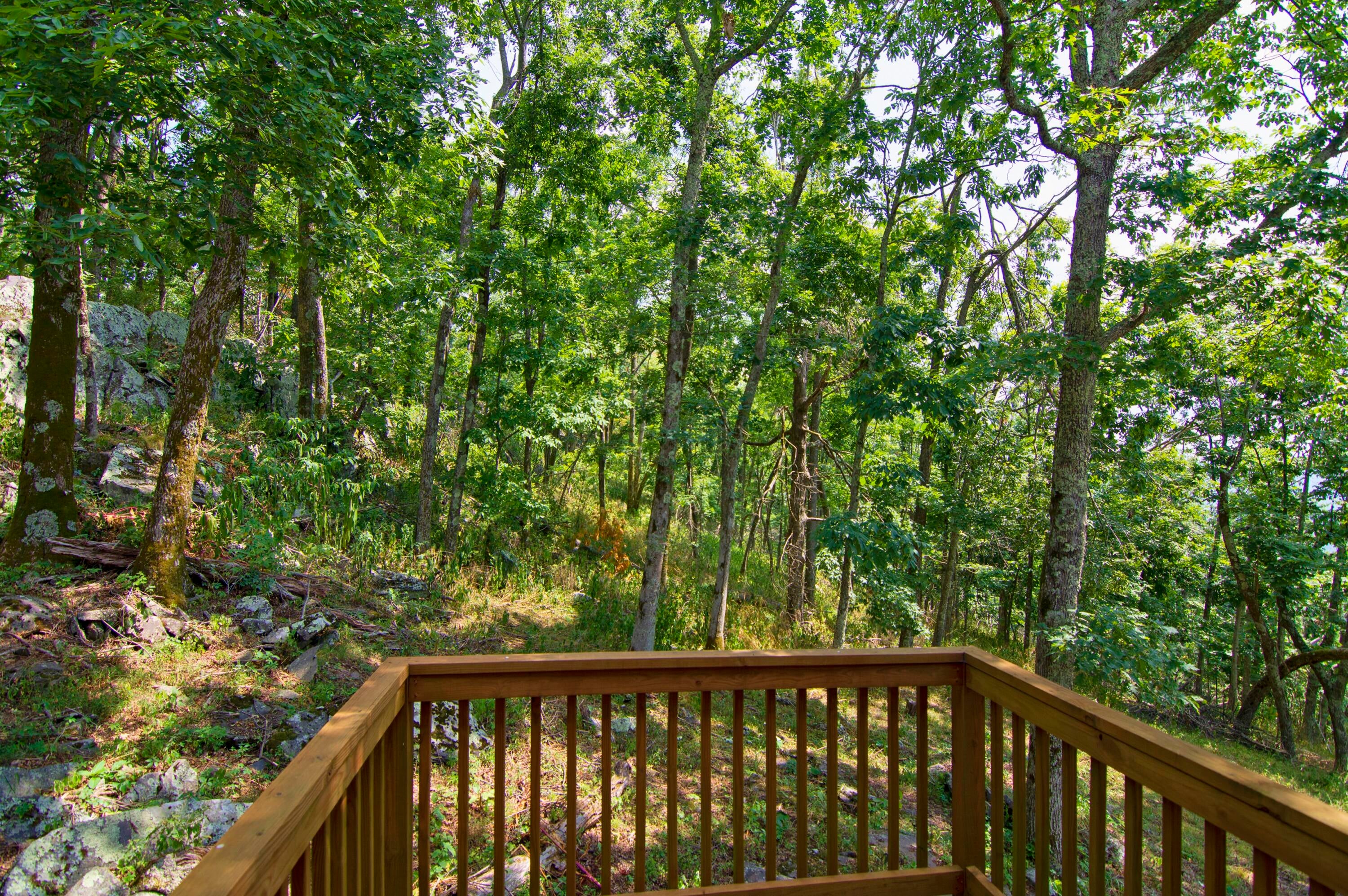 1727 Limestone Hill Road Gap Mills, WV 24941 - Photo 33 of 107 Gallery Image 33
