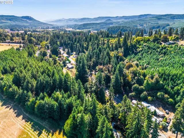 a view of a city with mountain