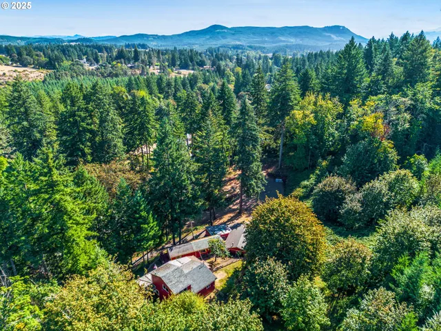 an aerial view of a lush green valley