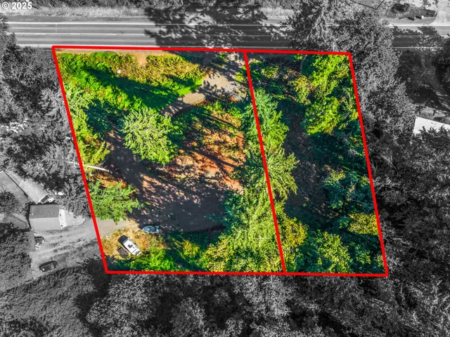 a view of a garden with a lot of flowers