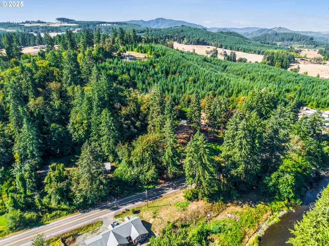 a view of a garden with a lake