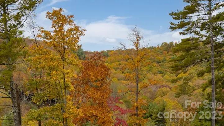 32 Westside Village Road, Unit 11 Fairview, NC 28730 - Photo 32 of 45 Gallery Image 32