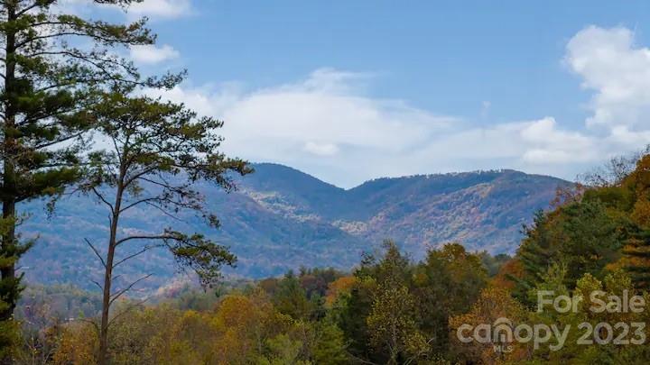 32 Westside Village Road, Unit 11 Fairview, NC 28730 - Photo 36 of 45 Gallery Image 36