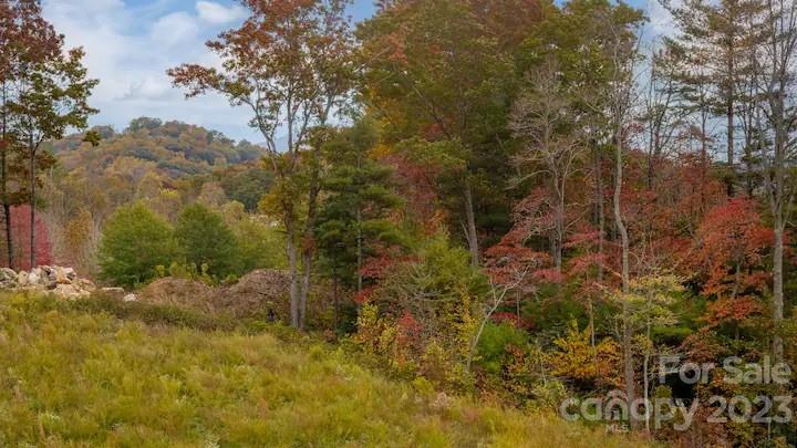 32 Westside Village Road, Unit 11 Fairview, NC 28730 - Photo 41 of 45 Gallery Image 41