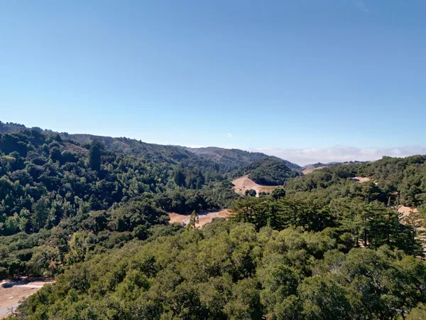 an aerial view of residential house with outdoor space and trees all around