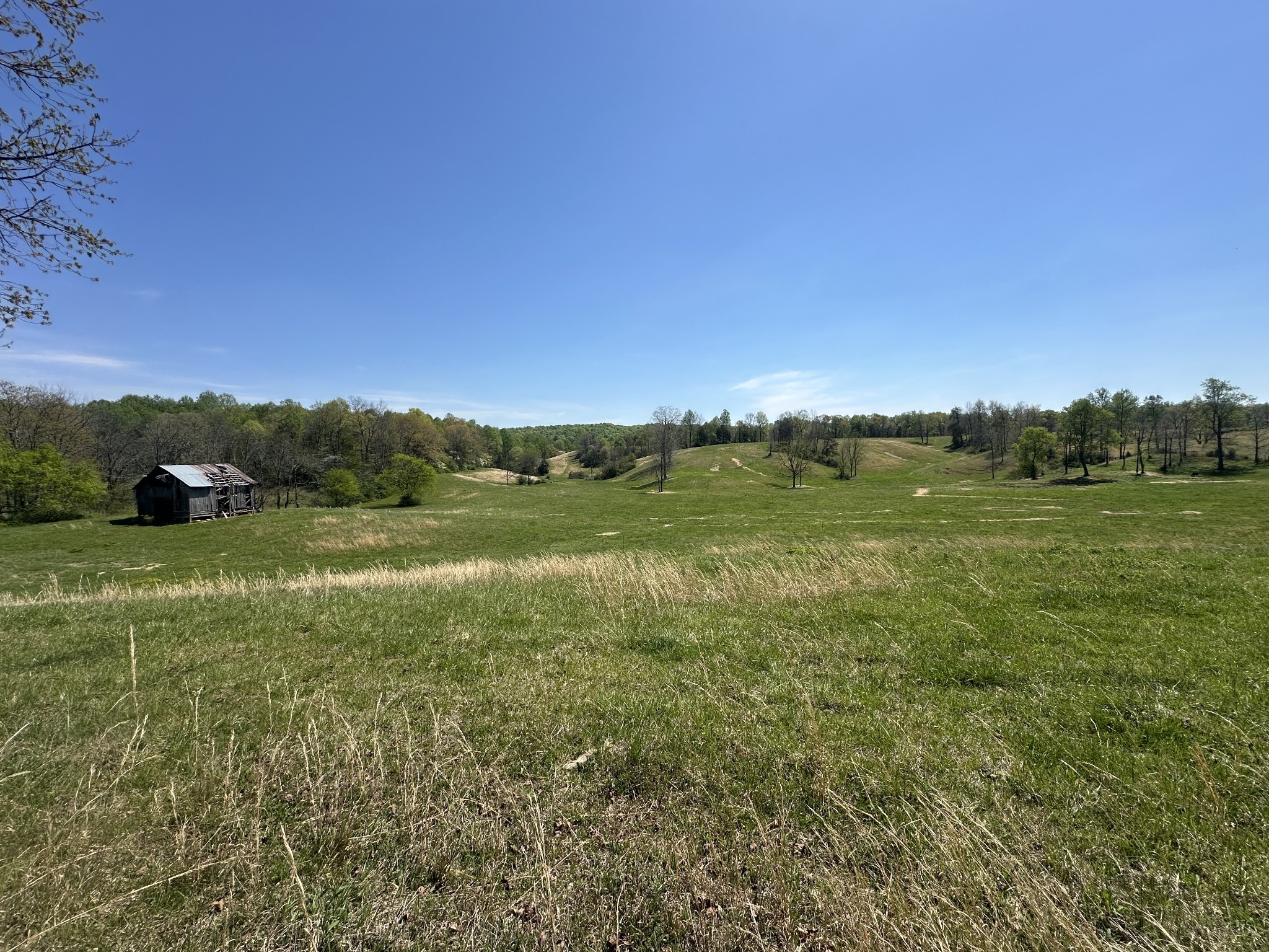 515 Jericho Road Quebeck, TN 38579 - Photo 34 of 54 Gallery Image 34