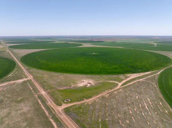 $4,079,086 | 516.34 Ac Creek, Dimmitt, TX 79027