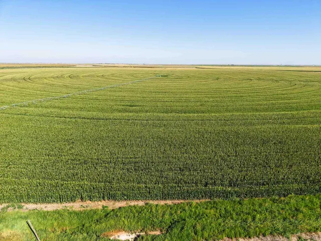 a view of a golf course with a lake
