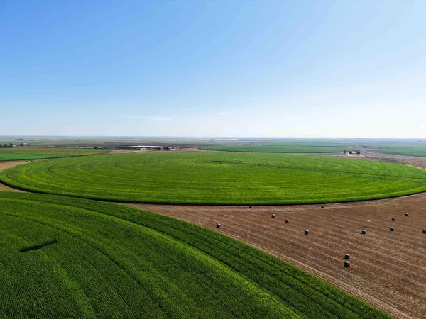 a view of a field with an ocean beach