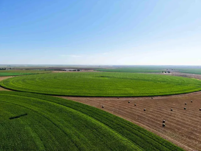 a view of a field with an ocean beach