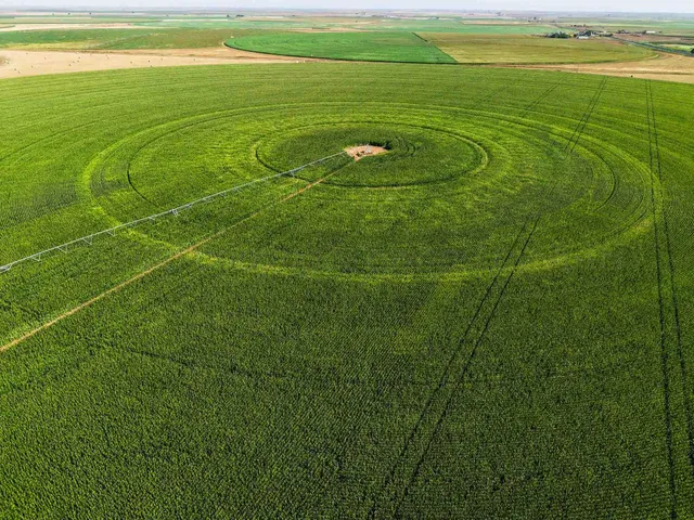a view of a tennis court
