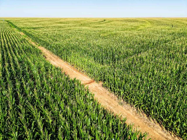 $4,079,086 | 516.34 Ac Creek, Dimmitt, TX 79027