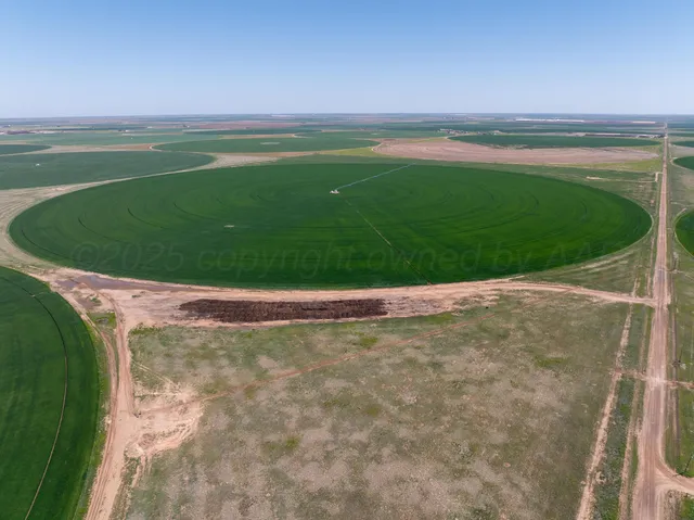 a view of a golf course with a garden