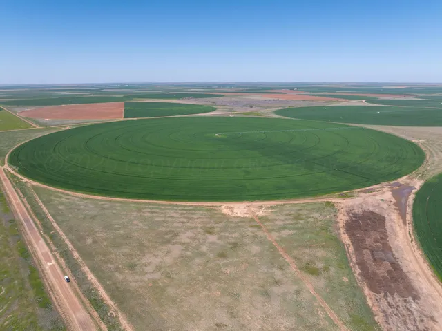 a view of a golf course with a garden