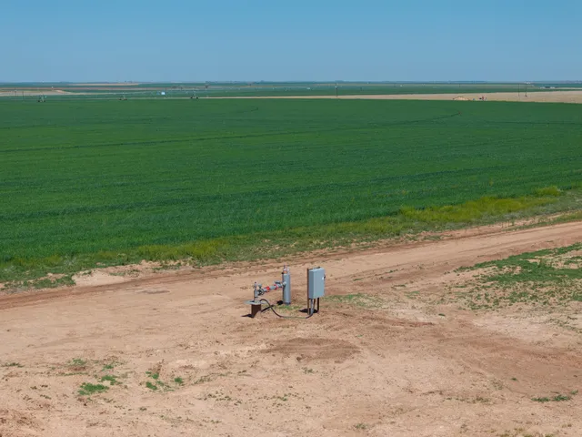 a view of a field with an ocean