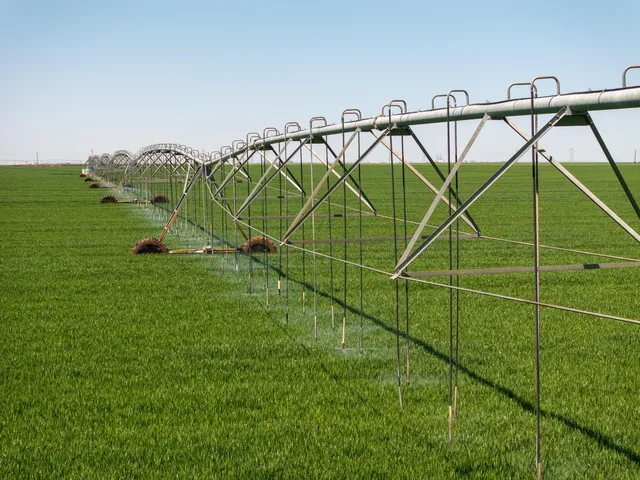 a view of a tennis court