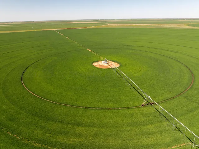 a view of a golf course with a lake