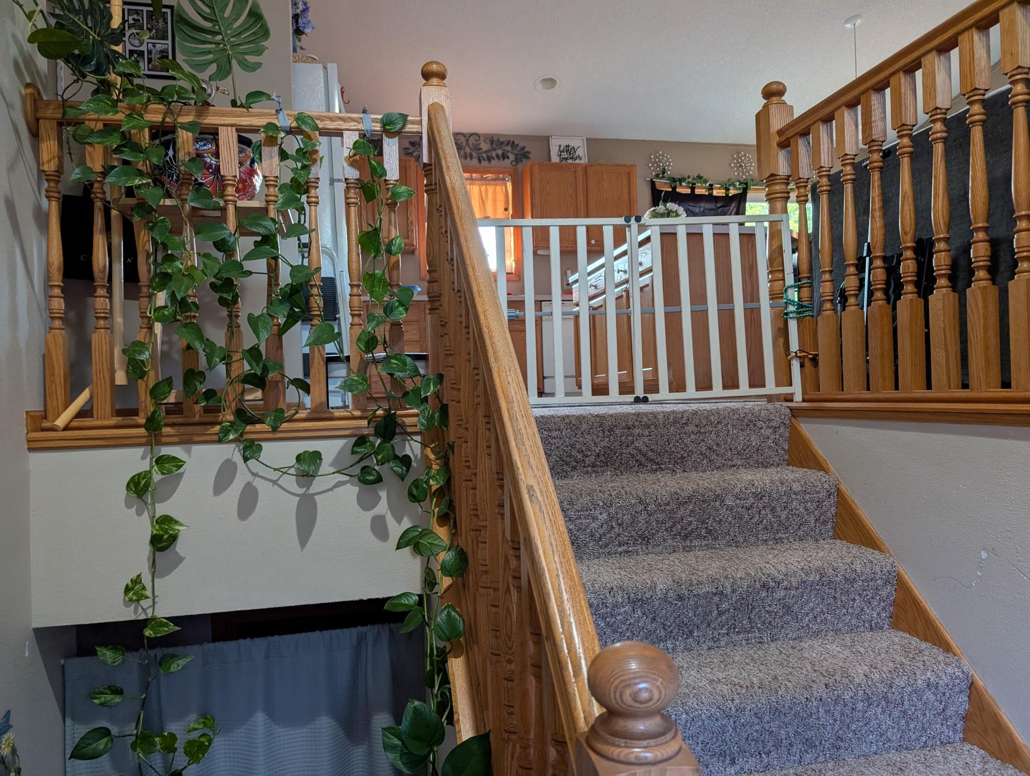 137 Barony Road Le Sueur, MN 56058 - Photo 14 of 21
