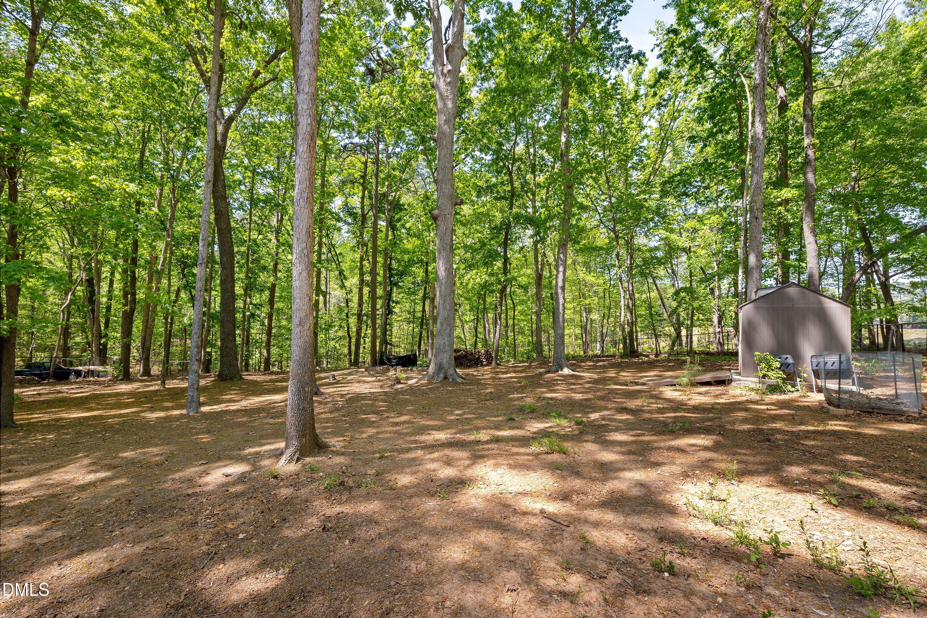 7921 Castlelake Court Raleigh, NC 27615 - Photo 24 of 30 Backyard