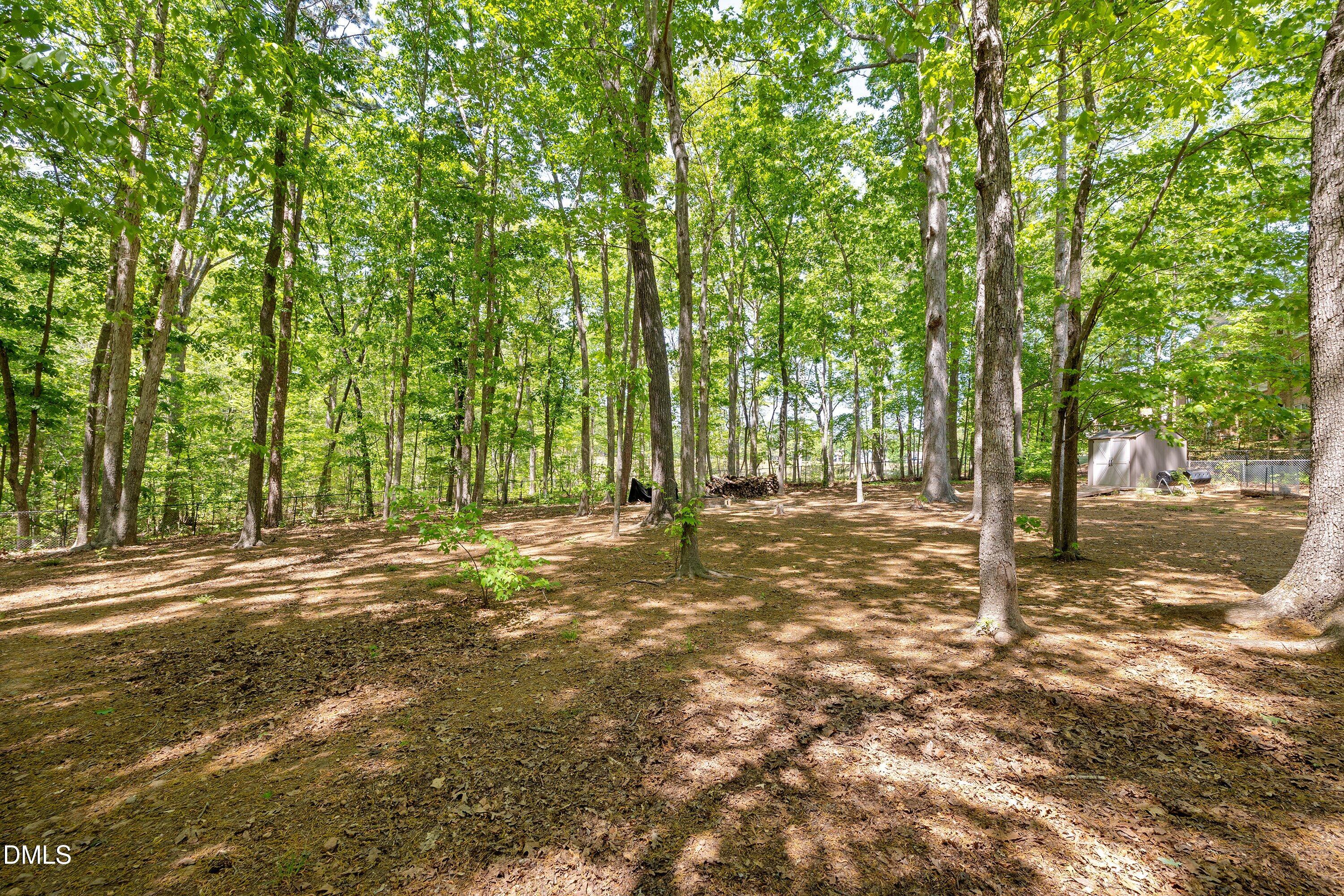 7921 Castlelake Court Raleigh, NC 27615 - Photo 25 of 30 Backyard