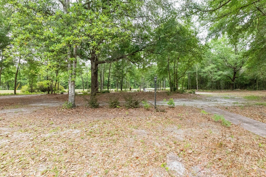 701 Log Landing Road Springfield, GA 31329 - Photo 16 of 16